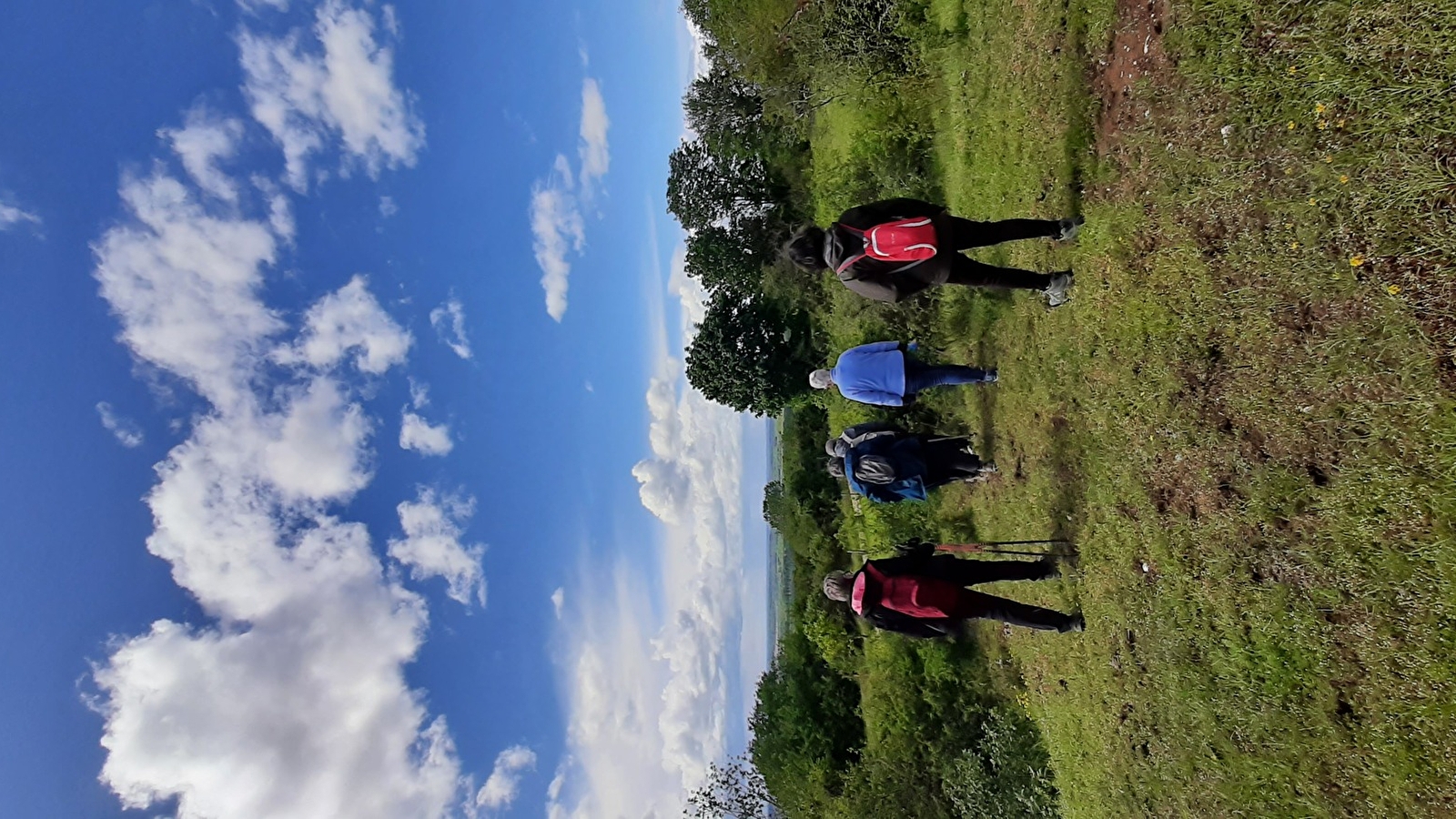 Circuit pédestre des Pelouses