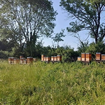 Mathilde Adeline Apicultrice Récoltante - LE VAL