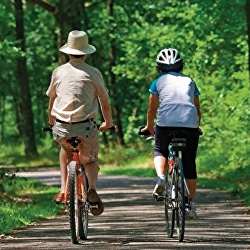 Balade à vélo dans la forêt de Chailluz - BESANCON