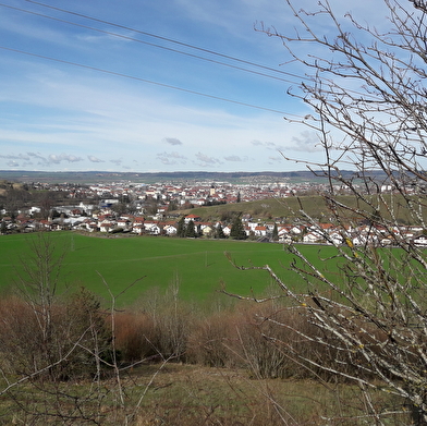 Le Fer à Cheval (Variante)