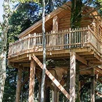 La cabane du lynx - BELFAHY