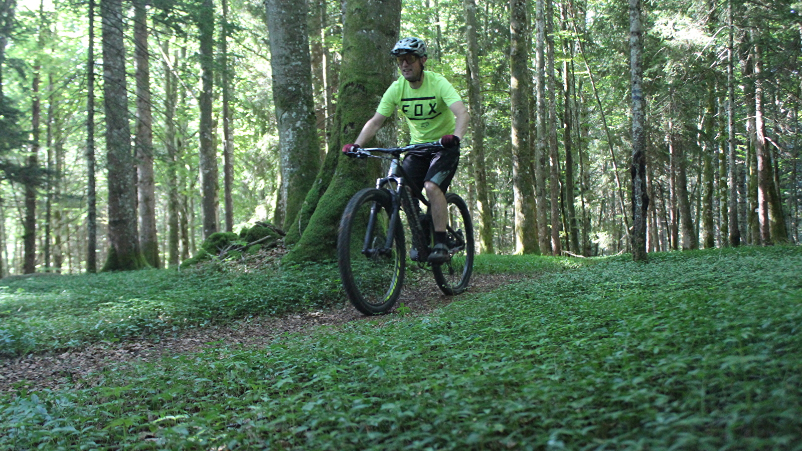 Parcours VTT 56 bleu - Le Jorat - Espace FFC Ain Forestière