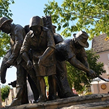 Balade en Montrachet - PULIGNY-MONTRACHET