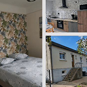 Les Cyclamens - COSNE-COURS-SUR-LOIRE