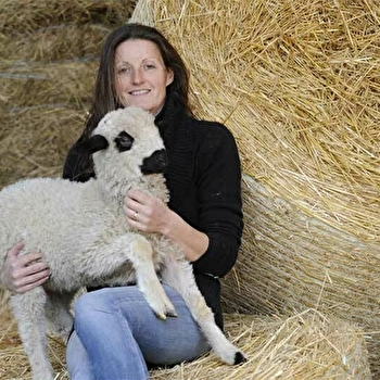 Élevage des Champs Lambert - AUXELLES-HAUT