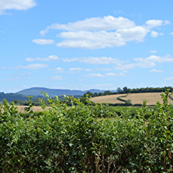 Sur les Hauteurs de Laizy - LAIZY
