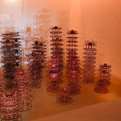 Exposition 'Le Nid des Djinns rougissants'