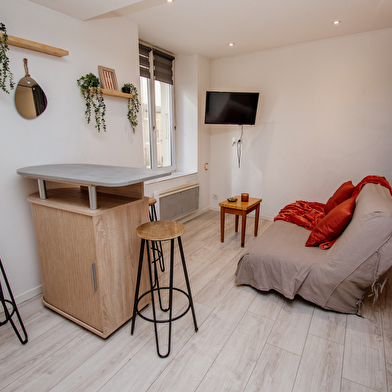 L'Écrin Pontissalien - Studio avec Parking