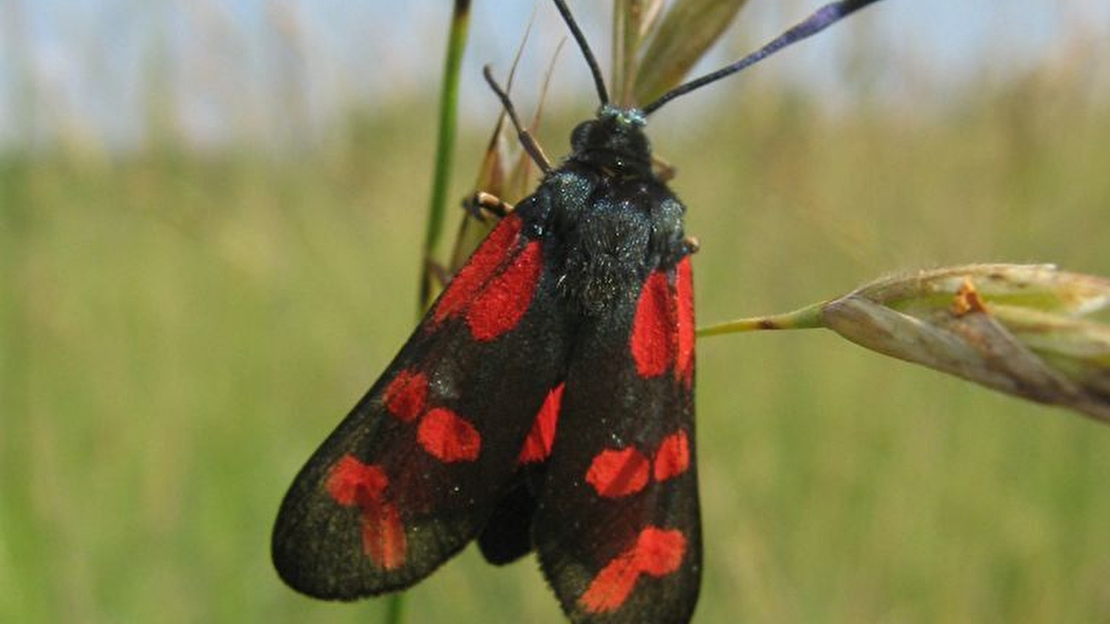Sortie « spéciale » photographie nature 