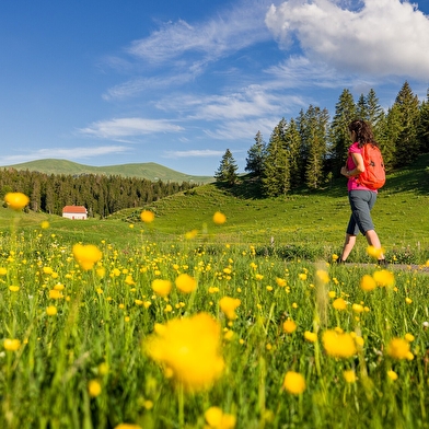La Grande Traversée du Jura à pied - GTJ pédestre