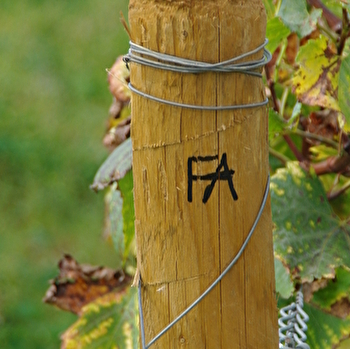 D'Allaines François - DEMIGNY