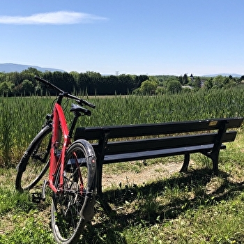 VTT autour de Divonne par la frontière Vaudoise - DIVONNE-LES-BAINS