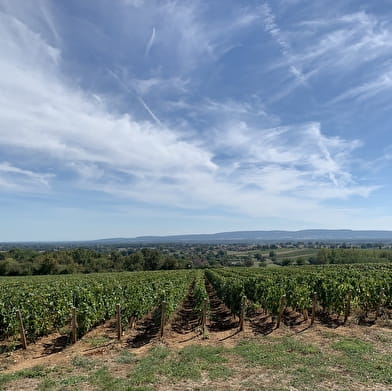 Aire de pique-nique Noizeret