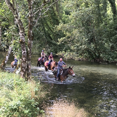 Loue Caval - Éthologie Équitation d'extérieur