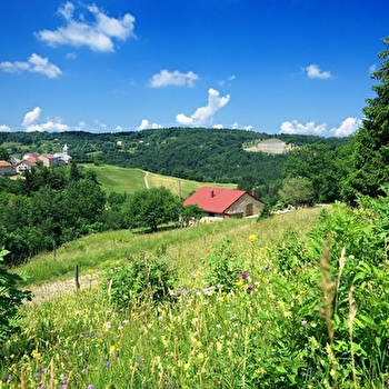 Le Crêt Joli - 8B - LES BOUCHOUX