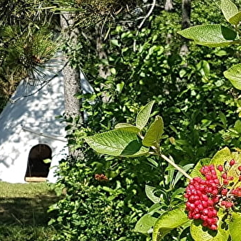 Nuitée insolite en Tipi Lakota  - DETAIN-ET-BRUANT