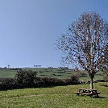 Aire de pique-nique - SAINT-JULIEN-DE-CIVRY