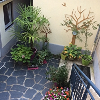 Havre Fleuri - MONTCEAU-LES-MINES