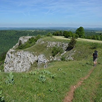 Roche de Hautepierre - LES PREMIERS SAPINS