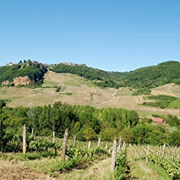 La Seille - 4V - VOITEUR