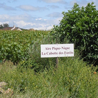 Aire de pique-nique de Serrigny