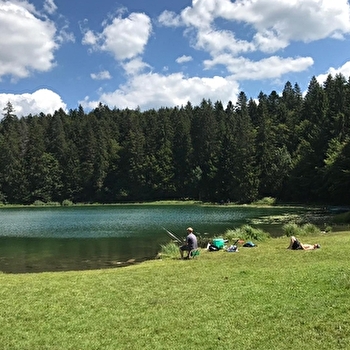 Circuit vélo - De Oyonnax au Lac Genin - OYONNAX