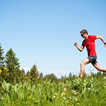 Le Crêt Pela - 12R - LAJOUX