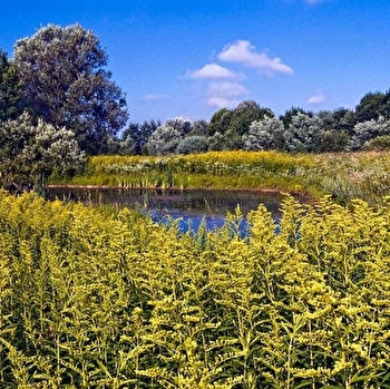 Réserve naturelle régionale de la basse-savoureuse - NOMMAY
