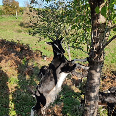 Les Coulisses du Terroir - La Ferme de Masolat
