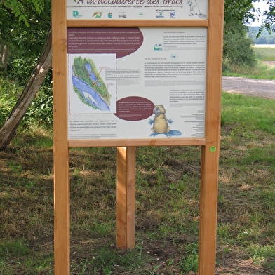 Balade en famille : Les sentiers-nature des Brocs