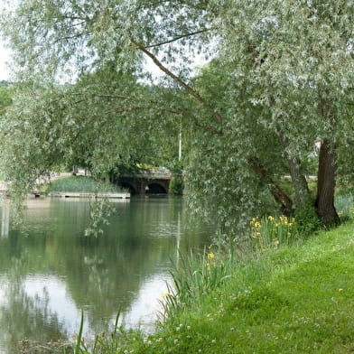 Camping les Chaumes du Mont à Nolay