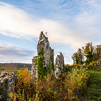 Vestiges du château de la Tour-du-Meix - LA TOUR-DU-MEIX