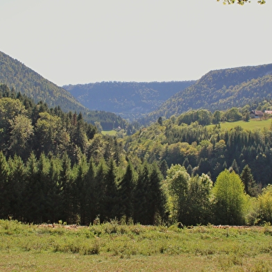 Mur-Mur(es) de pierres