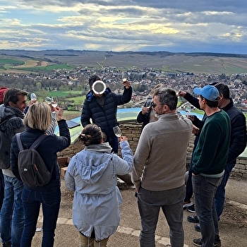 Balade commentée dans le vignoble de Chablis - CHABLIS