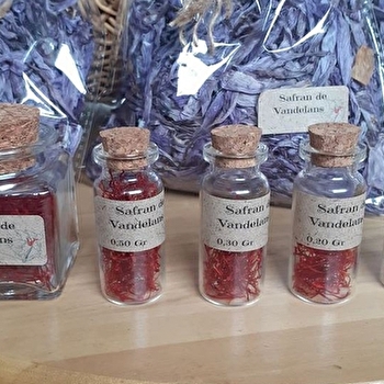 Safran de Vandelans - VANDELANS