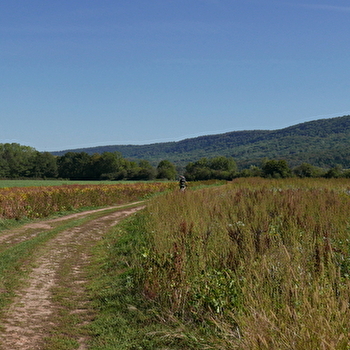 L’Ognon fait la force - LES AUXONS