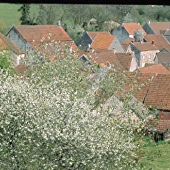 Village de Salives - labellisé Cités de Caractère - SALIVES