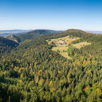 La ferme Guichard - Parcours de trail n°22 - PLATEAU D'HAUTEVILLE