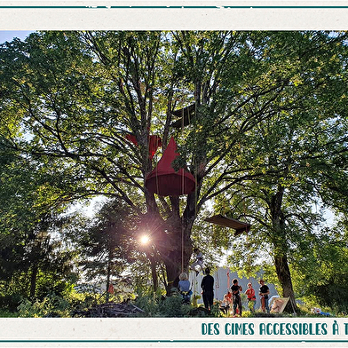 Terres et Cimes - grimpe d'arbres & animations nature