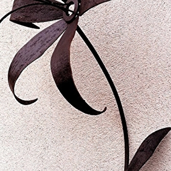 Féerue de la Luolle - MOROGES