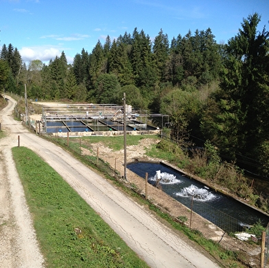 Pisciculture du Moulin de Pierre