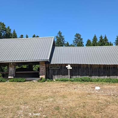 Taremberg - n°78 parcours classique