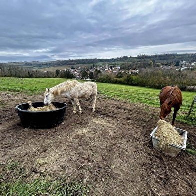 EARL derriere les granges