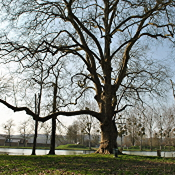 Promenade Jean-Pierre Harris - GUERIGNY