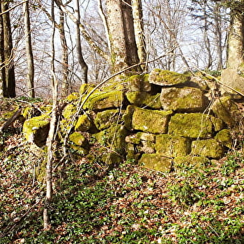 La Comtesse Henriette - ETOBON