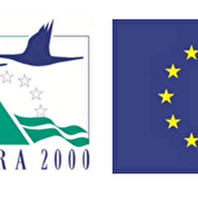 Sortie nature : Rando dans les milieux humides à Arinthod