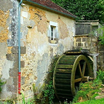  Sentier du moulin de Vanneau - SAINTS-EN-PUISAYE