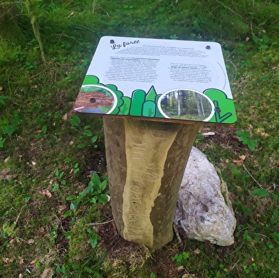 Du coin d'amont au coin d'aval