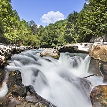 Parcours VTT 23 rouge - Pertes de la Valserine - Espace FFC Ain Forestière - VALSERHONE