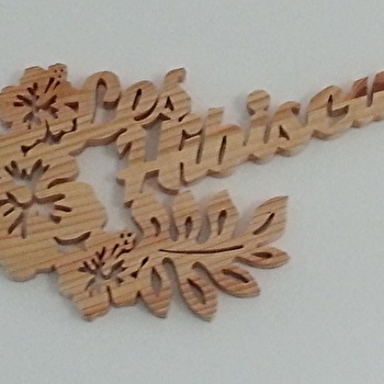 Les Hibiscus - ROUGEGOUTTE